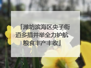 潍坊滨海区央子街道多措并举全力护航粮食丰产丰收