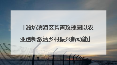 潍坊滨海区芳青玫瑰园以农业创新激活乡村振兴新动能