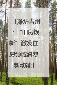 潍坊青州：“旧房焕新”激发住房领域消费新动能