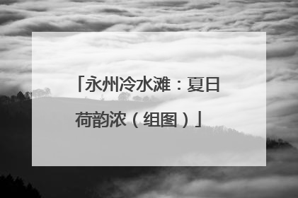 永州冷水滩：夏日荷韵浓（组图）