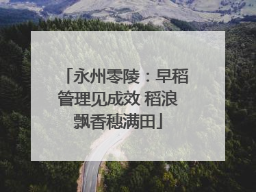 永州零陵：早稻管理见成效 稻浪飘香穗满田