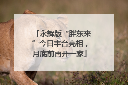 永辉版“胖东来”今日丰台亮相，月底前再开一家