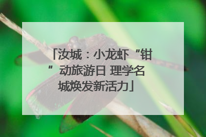 汝城：小龙虾“钳”动旅游日 理学名城焕发新活力