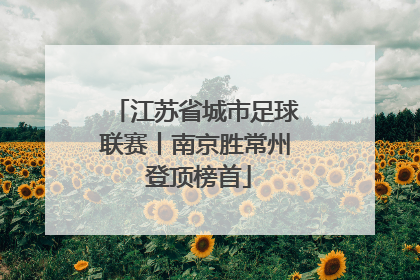 江苏省城市足球联赛丨南京胜常州 登顶榜首