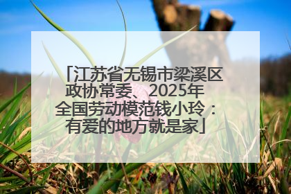 江苏省无锡市梁溪区政协常委、2025年全国劳动模范钱小玲：有爱的地方就是家