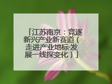 江苏南京：竞逐新兴产业新赛道（走进产业地标·发展一线探变化）