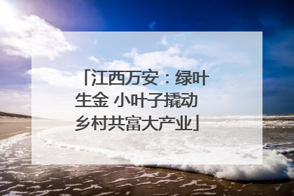 江西万安：绿叶生金 小叶子撬动乡村共富大产业
