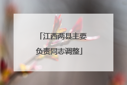 江西两县主要负责同志调整