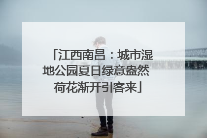 江西南昌：城市湿地公园夏日绿意盎然 荷花渐开引客来