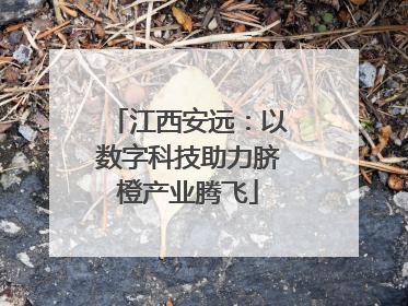 江西安远：以数字科技助力脐橙产业腾飞