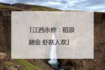 江西永修：稻浪翻金 虾跃人欢