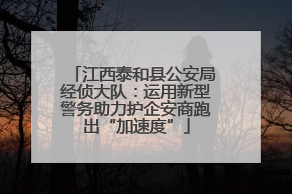 江西泰和县公安局经侦大队：运用新型警务助力护企安商跑出“加速度”