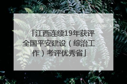 江西连续19年获评全国平安建设（综治工作）考评优秀省