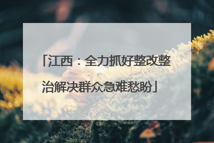 江西：全力抓好整改整治解决群众急难愁盼