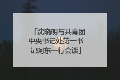 沈晓明与共青团中央书记处第一书记阿东一行会谈
