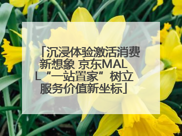 沉浸体验激活消费新想象 京东MALL“一站置家”树立服务价值新坐标
