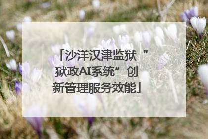 沙洋汉津监狱“狱政AI系统”创新管理服务效能