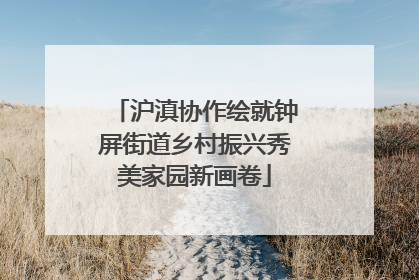 沪滇协作绘就钟屏街道乡村振兴秀美家园新画卷