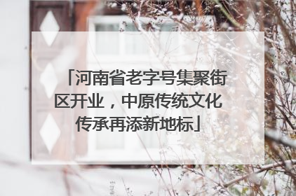 河南省老字号集聚街区开业，中原传统文化传承再添新地标