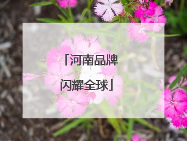 河南品牌 闪耀全球