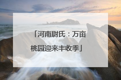 河南尉氏：万亩桃园迎来丰收季