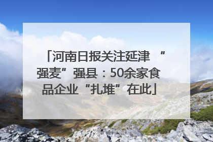 河南日报关注延津 “强麦”强县：50余家食品企业“扎堆”在此