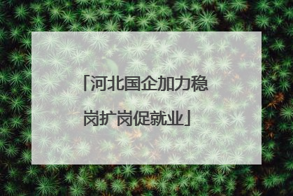 河北国企加力稳岗扩岗促就业