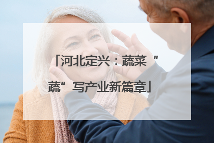 河北定兴：蔬菜“蔬”写产业新篇章