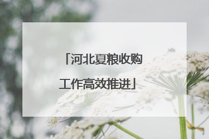 河北夏粮收购工作高效推进