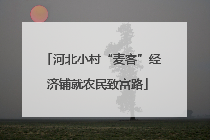 河北小村“麦客”经济铺就农民致富路