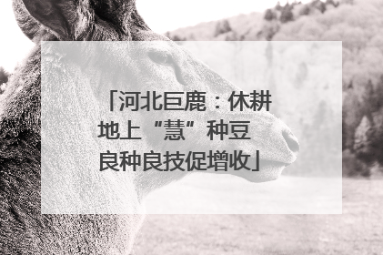 河北巨鹿：休耕地上“慧”种豆 良种良技促增收