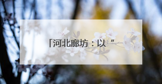 河北廊坊：以“算”为笔描绘未来产业发展蓝图