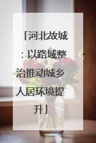 河北故城：以路域整治推动城乡人居环境提升