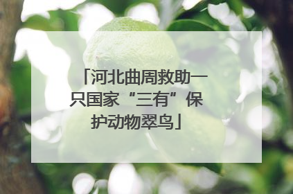 河北曲周救助一只国家“三有”保护动物翠鸟