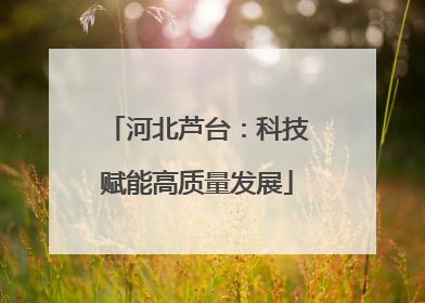 河北芦台：科技赋能高质量发展