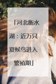 河北衡水湖：近万只夏候鸟进入繁殖期