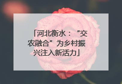 河北衡水：“交农融合”为乡村振兴注入新活力