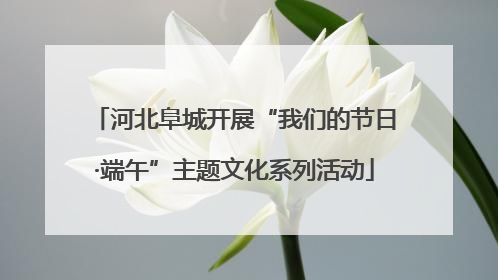 河北阜城开展“我们的节日·端午”主题文化系列活动