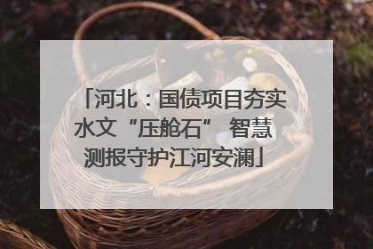 河北：国债项目夯实水文“压舱石” 智慧测报守护江河安澜