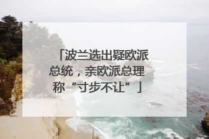 波兰选出疑欧派总统，亲欧派总理称“寸步不让”