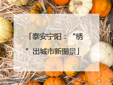 泰安宁阳：“绣”出城市新图景
