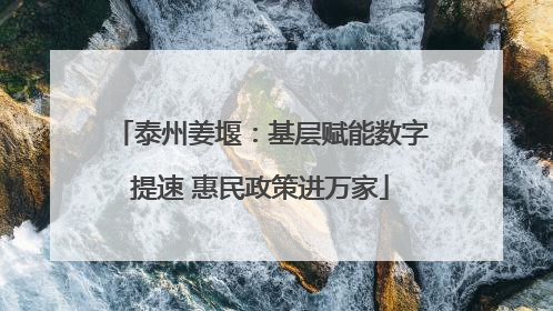 泰州姜堰：基层赋能数字提速 惠民政策进万家