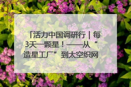 活力中国调研行｜每3天一颗星！——从“造星工厂”到太空织网的“银河速度”