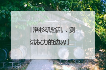 洛杉矶骚乱，测试权力的边界