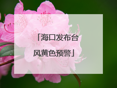 海口发布台风黄色预警