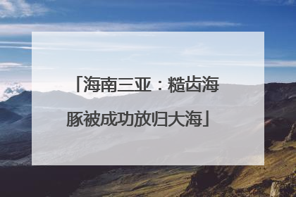 海南三亚：糙齿海豚被成功放归大海