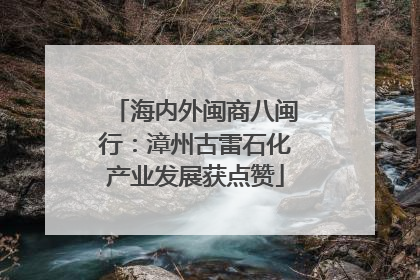 海内外闽商八闽行：漳州古雷石化产业发展获点赞