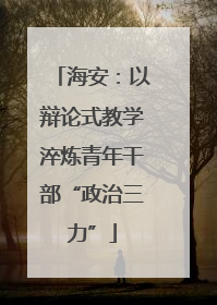 海安：以辩论式教学淬炼青年干部“政治三力”