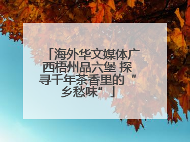 海外华文媒体广西梧州品六堡 探寻千年茶香里的“乡愁味”