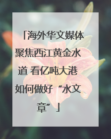 海外华文媒体聚焦西江黄金水道 看亿吨大港如何做好“水文章”
